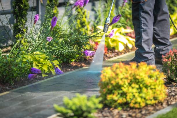 Trusted Poseyville, IN Pressure Washing Services Experts